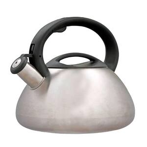 Sphere 11.2-Cup Stovetop Tea Kettle in Silver