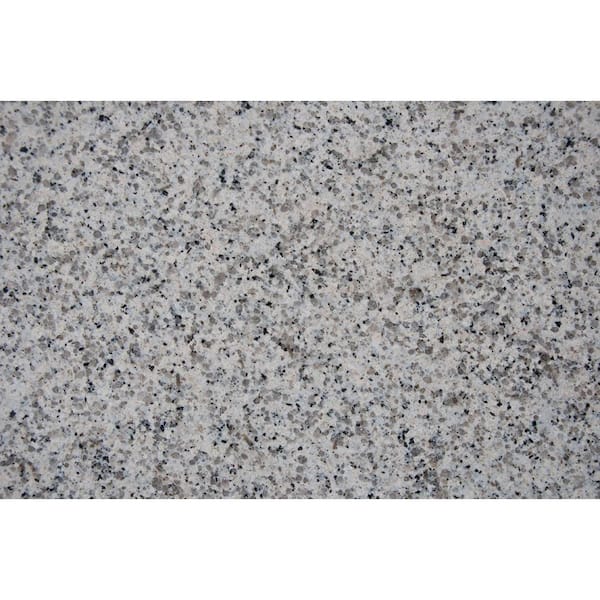 STONEMARK 5 in. x 7 in. Granite Countertop Sample in Cearra White