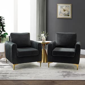 Ennomus Black Polyester Club Chair with Removable Cushions (Set of 2)