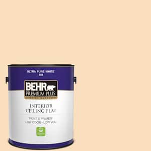1 gal. #M240-2 Pinch of Pearl Ceiling Flat Interior Paint
