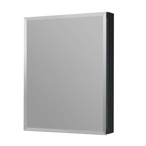 TaiMei 12 in. W x 26 in. H Small Rectangular Black Recessed/Surface ...
