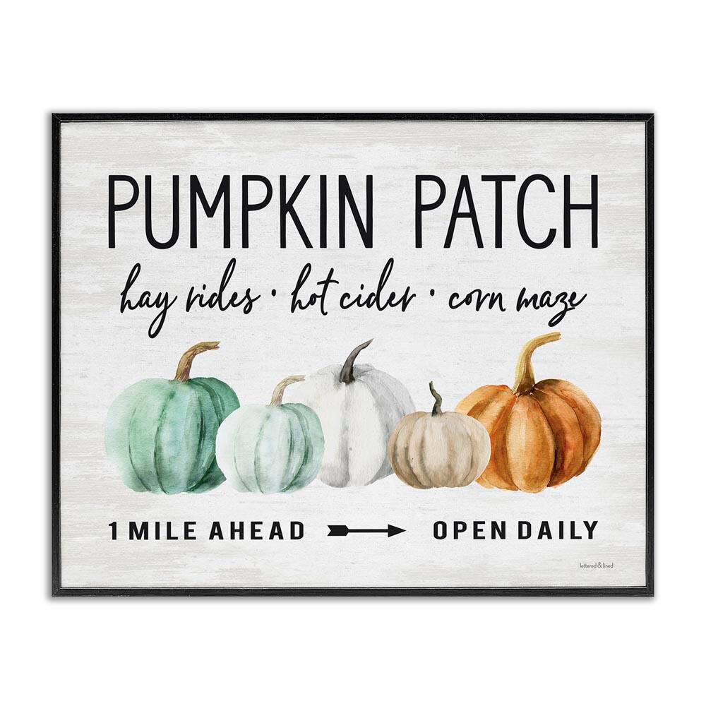 Pumpkin Patch Farmhouse Autumn Gourds by Lettered and Lined Black Framed Graphic Typography Art Print 30 in. x 24 in. price history on PriceWatchPro