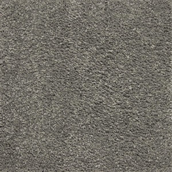 Mohawk 8 in. x 8 in. Texture Carpet Sample - Appreciate II - Color Hearth Beige