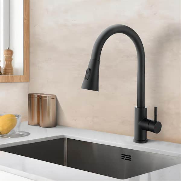 Satico Amuring Single Handle Pull Out Sprayer Kitchen Faucet in Matte Black