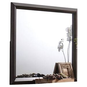 24 in. W x 30 in. H Rectangle Hanging Black Framed Mirror
