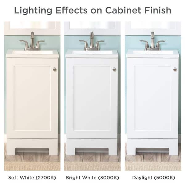 Glacier Bay 19 in. Single Sink White Bath Vanity with White