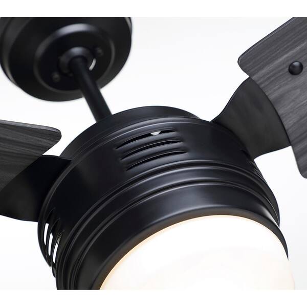 Indoor Barbeque Black Ceiling Fan 