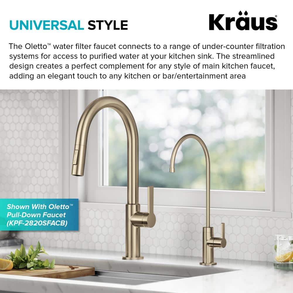 Antique Champagne Bronze Single Handle Water Filter Faucet