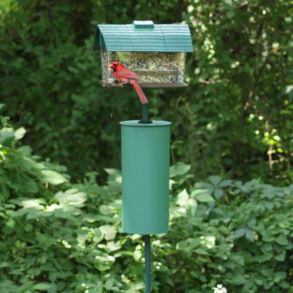 Green Metal Pole Mount Squirrel Baffle Guard