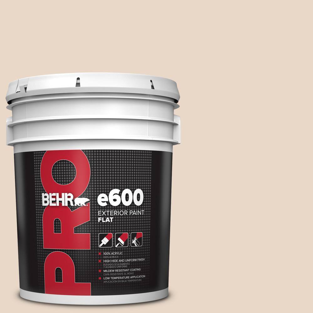 5 gal. #ECC-59-2 Siesta Tan Flat Exterior Paint price history on PriceWatchPro