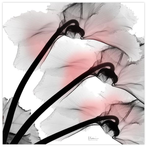 Empire Art Direct "Coral Luster Clycamen-2" Unframed Free Floating Tempered Glass Panel Graphic Wall Art Print 24 in. x 24 in.