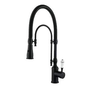 Single Handle Pull Down Sprayer Kitchen Faucet with Advanced Spray Spring Brass 1 Hole Kitchen Sink Taps in Matte Black