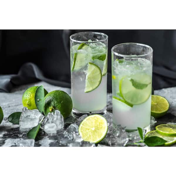 1 Gal. Persian Lime (Bearss Lime) Live Tropical Tree with White Flower to Green Seedless Fruit (1-Pack)