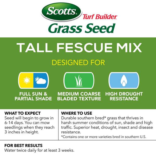 Scotts Turf Builder Tall Fescue Grass Sun or Shade Grass Seed 20 lb