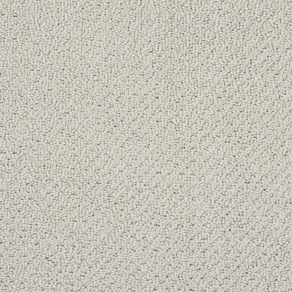 8 in. x 8 in. Loop Carpet Sample - Lightbourne - Color Clouded price history on PriceWatchPro