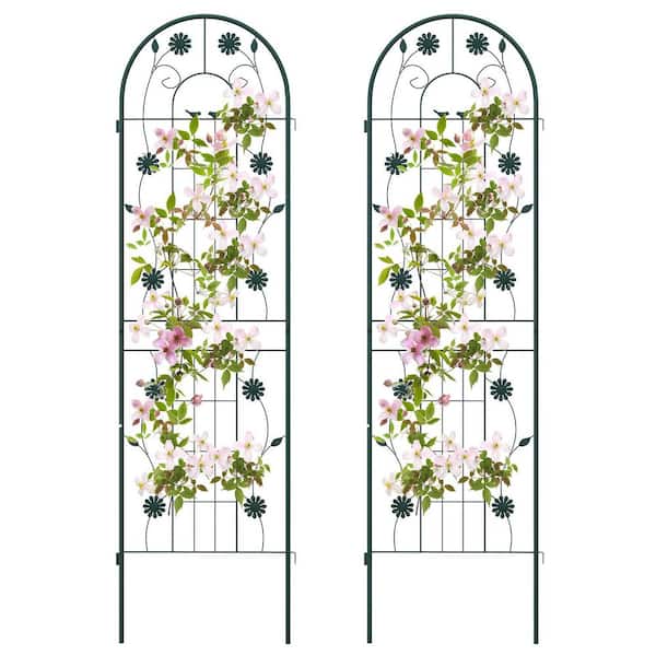 2-Pack 71 in. H x 20 in. W Galvanized Steel Trellis in Green
