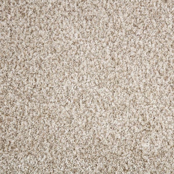 Home Decorators Collection Trendy Threads I - Color Marvell Indoor Texture Beige Carpet