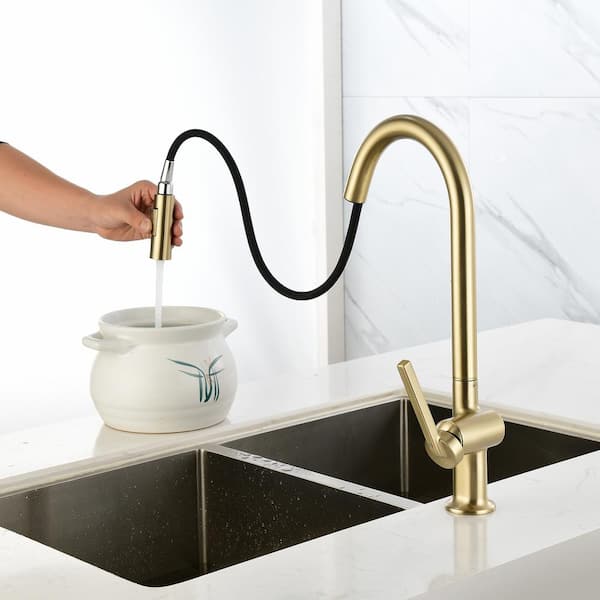 Single Handle Pull-Down Sprayer Kitchen Faucet with Flexible and Power Clean in Brushed Gold