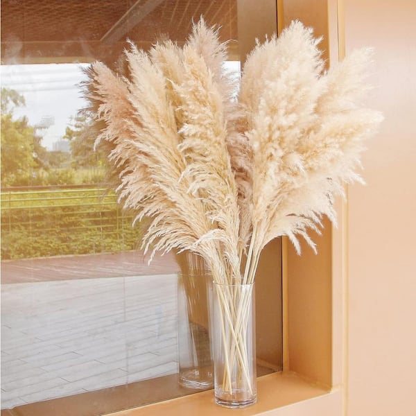 Afoxsos 40 in. 10 Stems Natural Pampas Grass Home Decor, Tall Pampas Grass  SNPH002IN518