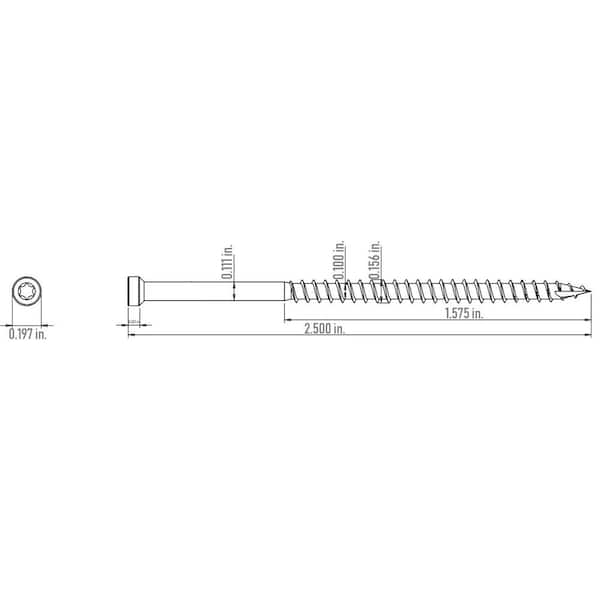 #8 x 2-1/2 in. Star Drive Trim-Head White Trim Screw (100-Pack)