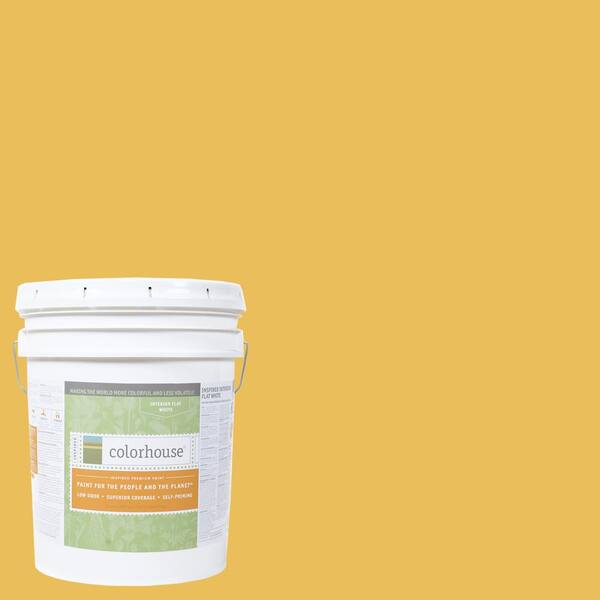 Colorhouse 5 gal. Aspire .05 Flat Interior Paint