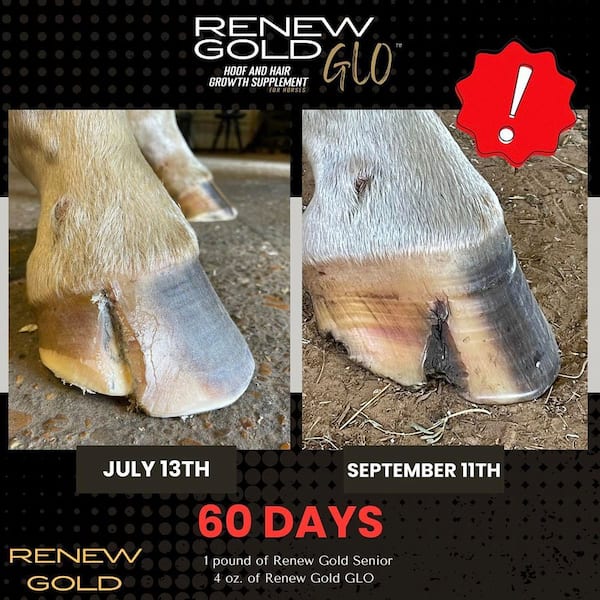 7.5 lb. Bag GLO Hoof and Hair Growth Supplement