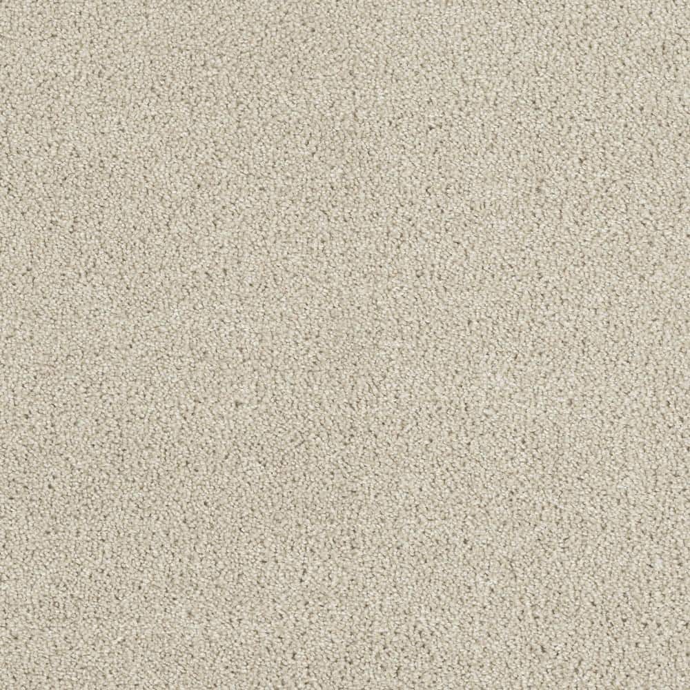 8 in. x  8 in. Texture Carpet Sample - Moonlight -Color Halo price history on PriceWatchPro