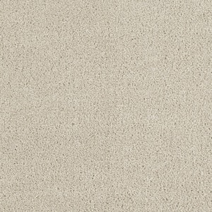 Moonlight  - Halo - Beige 32 oz. SD Polyester Texture Installed Carpet