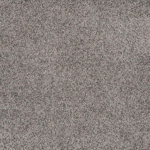 8 in. x 8 in. Texture Carpet Sample - Topaz II  - Color Grizzly