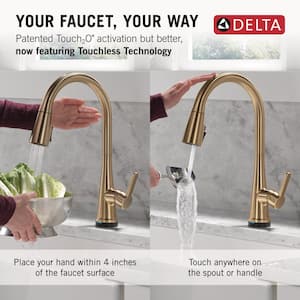 Greydon Touch2O with Touchless Technology Single-Handle Pull Down Sprayer Kitchen Faucet in Champagne Bronze