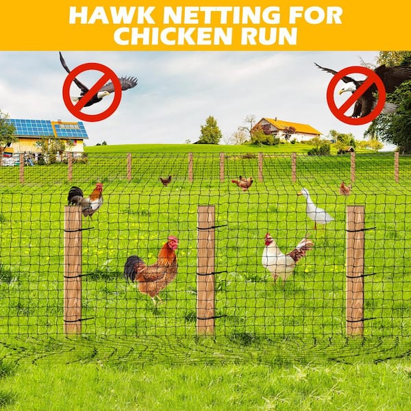 Angel Sar 1 in. Square Mesh 50 ft. x 50 ft. Nylon Garden Poultry Netting, Heavy Duty Aviary Netting for Chicken Hawk Deer