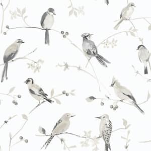 Birdsong Grey Fabric Pre-Pasted Matte Trail Strippable Wallpaper