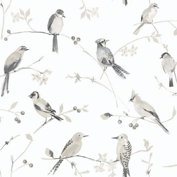 Chesapeake Birdsong Grey Fabric Pre-Pasted Matte Trail Strippable Wallpaper