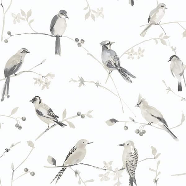 Chesapeake Plum Tree Grey Botanical Wallpaper Sample