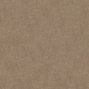 Sea Pines - Color Summer Straw Brown 45 oz. Nylon Texture Installed Carpet