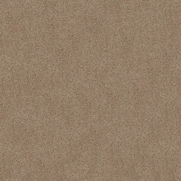 Lifeproof Sea Pines - Color Summer Straw Brown 45 oz. Nylon Texture Installed Carpet