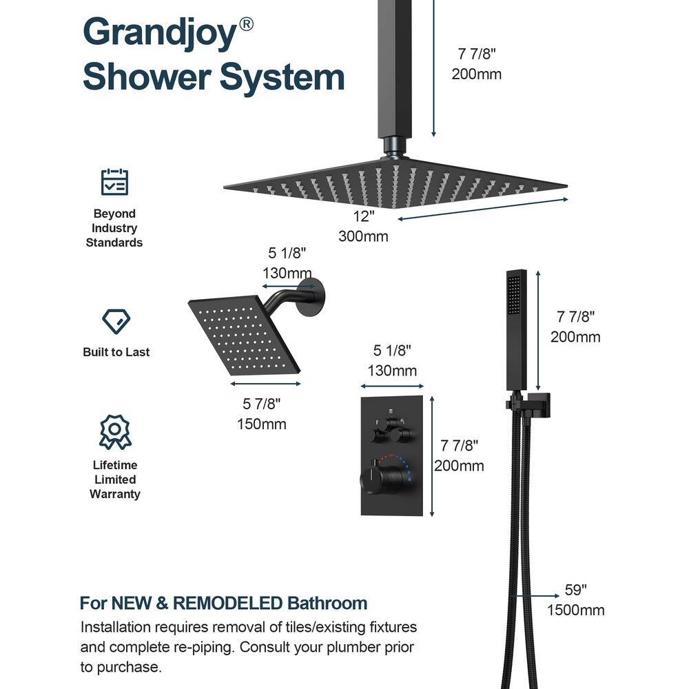 Matte Black Dual Mount Rainfall Shower System with Handheld Spray