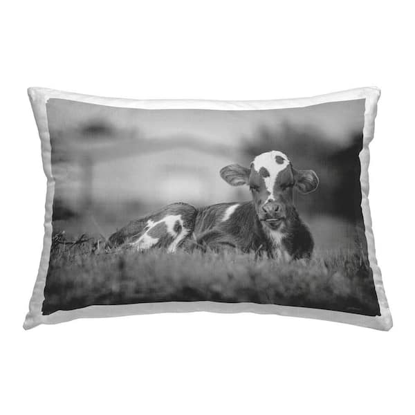Stupell Industries Lounging Cow in Grass Gray Print Polyester 14 in. x 20 in. Throw Pillow