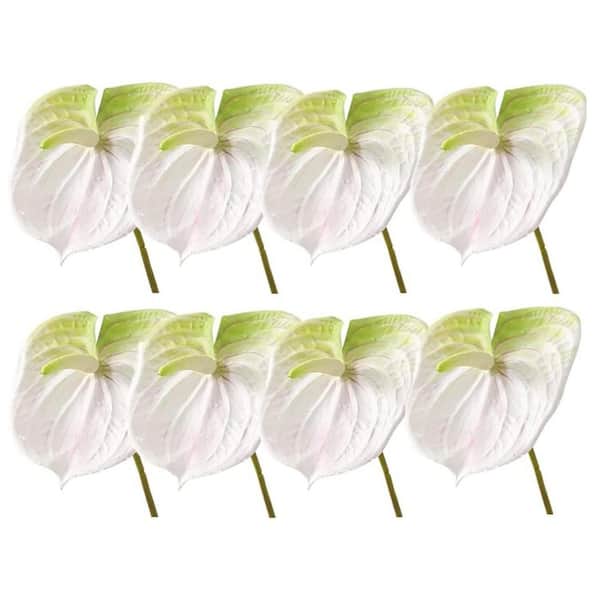 Unbranded 24 in. Artificial White Indoor/Outdoor Anthurium Lily Plant  8-Pieces Lifelike PU Flower Home Wedding Decor 59B1124C1562