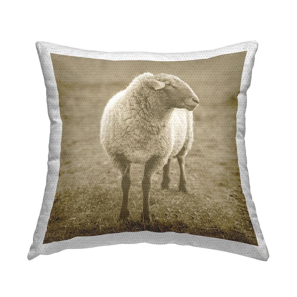 Sheep Grazing Farmland Animal Tan Square Outdoor Throw Pillow price history on PriceWatchPro