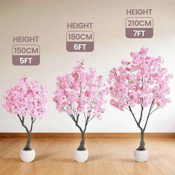 Gravee Low Maintenance Cherry Blossom Tree - 7 ft. Potted