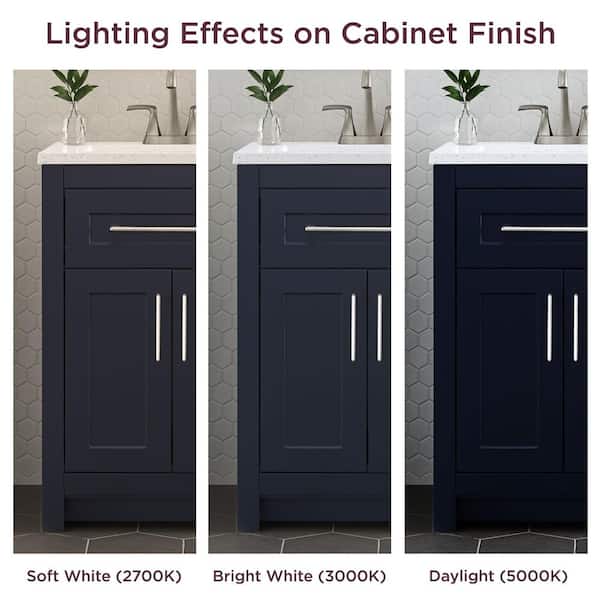 Home Decorators Collection Clady 25 in. Single Sink Deep Blue Bath