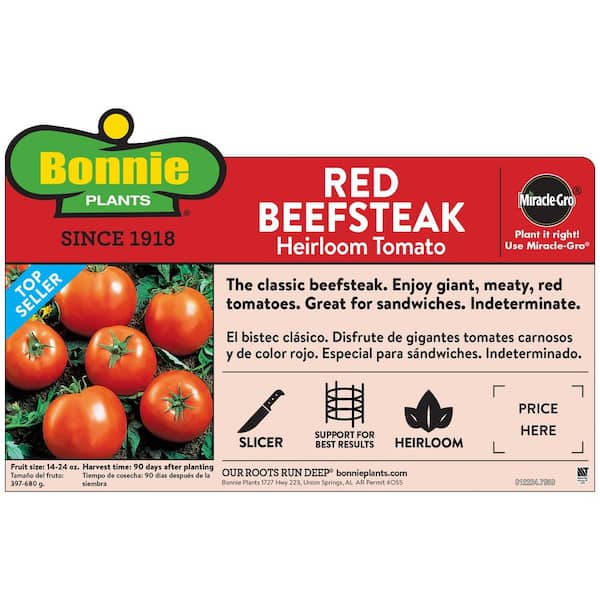 2.32 qt. Red Beefsteak Heirloom Tomato Plant
