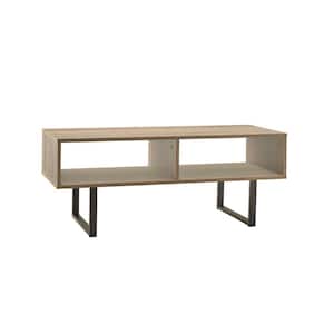Mixed Material Storage Furniture 39.5 in W x 15.8 in. D Gray Coffee Table with Decorative Shelf