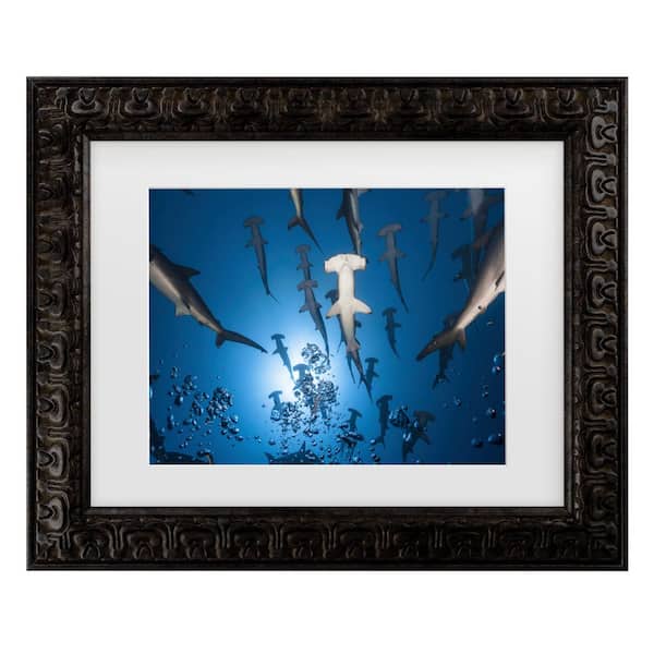 Trademark Fine Art Barathieu Gabriel Hammerhead Shark Matted Framed Photography Wall Art 14.5 in. x 17.5 in.