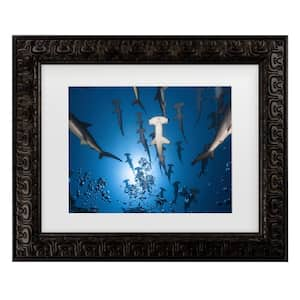 Barathieu Gabriel Hammerhead Shark Matted Framed Photography Wall Art 19.5 in. x 23.5 in.