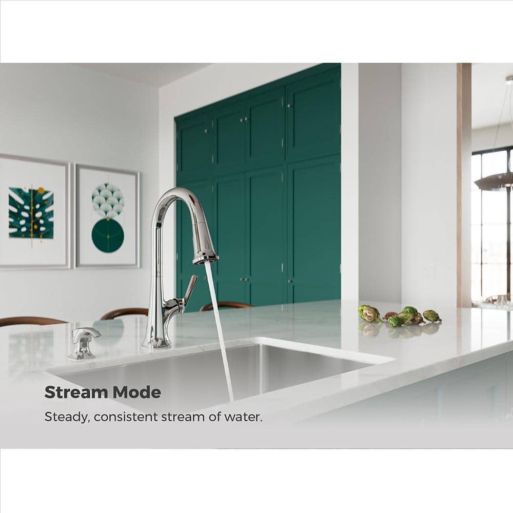 Ridgeline Polished Chrome Single Handle Pull-down Kitchen Faucet with Sprayer