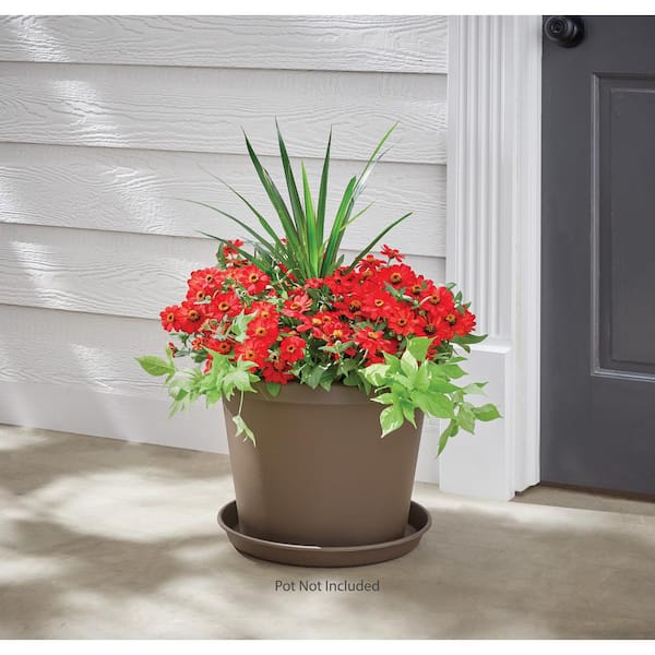 Antonella Medium Chocolate Plastic Planter with Drainage Hole (10 in. L x 10 in. W x 8 in. H)
