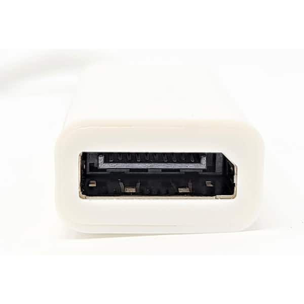 Micro Connectors, Inc USB-C to DisplayPort Adapter USB31-DP-9 - The Home  Depot