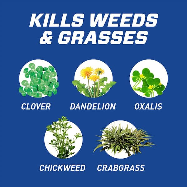 GroundClear Weed and Grass B-gon Patio and Landscape Weed and Grass Killer 1 gal. Spray Weed Killer with Trigger Sprayer